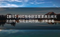 【震惊】网红在今日凌晨遭遇丑闻无法自持，探花全网炸锅，详情速看