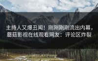 主持人又爆丑闻！刚刚刚刚流出内幕，蘑菇影视在线观看网友：评论区炸裂