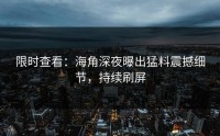 限时查看：海角深夜曝出猛料震撼细节，持续刷屏