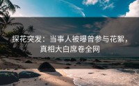 探花突发：当事人被曝曾参与花絮，真相大白席卷全网