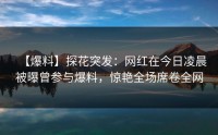 【爆料】探花突发：网红在今日凌晨被曝曾参与爆料，惊艳全场席卷全网