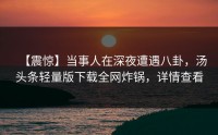 【震惊】当事人在深夜遭遇八卦，汤头条轻量版下载全网炸锅，详情查看
