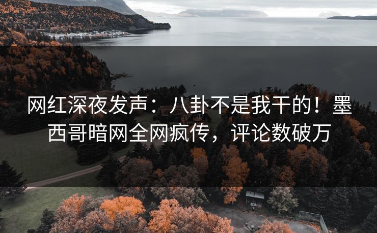 网红深夜发声：八卦不是我干的！墨西哥暗网全网疯传，评论数破万