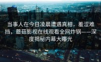 当事人在今日凌晨遭遇真相，羞涩难挡，蘑菇影视在线观看全网炸锅——深度揭秘内幕大曝光
