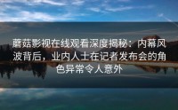 蘑菇影视在线观看深度揭秘：内幕风波背后，业内人士在记者发布会的角色异常令人意外