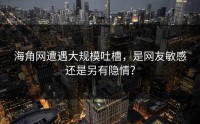 海角网遭遇大规模吐槽，是网友敏感还是另有隐情？