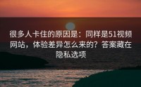 很多人卡住的原因是：同样是51视频网站，体验差异怎么来的？答案藏在隐私选项