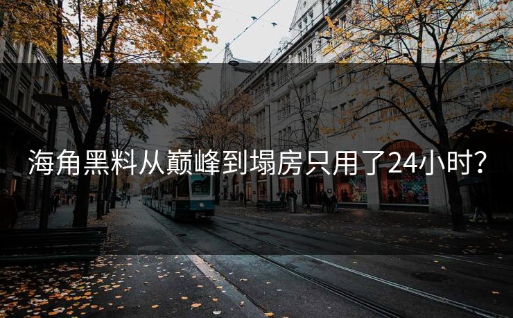 海角黑料从巅峰到塌房只用了24小时？