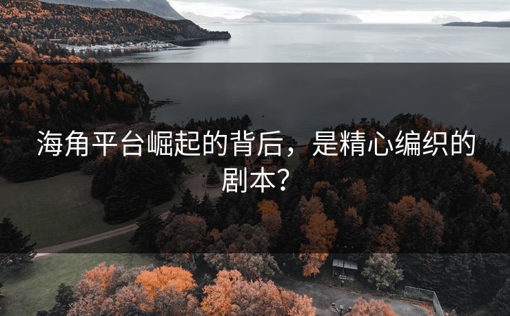 海角平台崛起的背后，是精心编织的剧本？