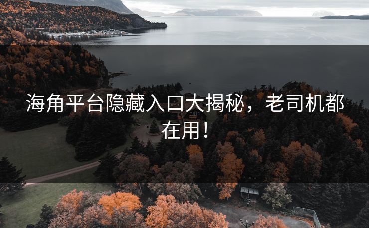 海角平台隐藏入口大揭秘，老司机都在用！
