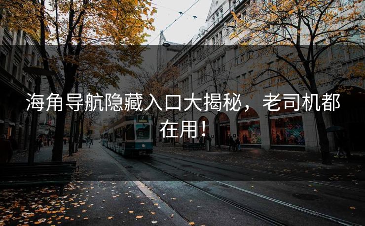 海角导航隐藏入口大揭秘，老司机都在用！