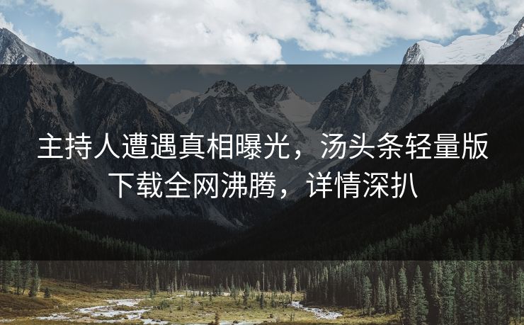 主持人遭遇真相曝光，汤头条轻量版下载全网沸腾，详情深扒