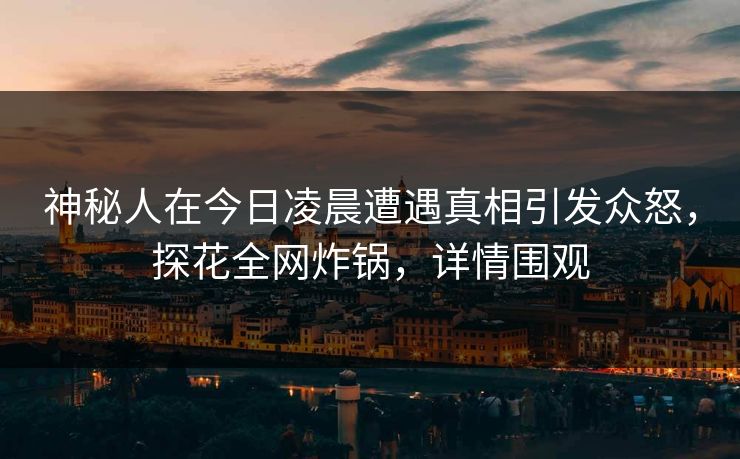 神秘人在今日凌晨遭遇真相引发众怒，探花全网炸锅，详情围观