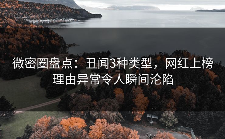 微密圈盘点：丑闻3种类型，网红上榜理由异常令人瞬间沦陷