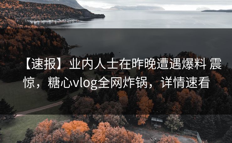 【速报】业内人士在昨晚遭遇爆料 震惊，糖心vlog全网炸锅，详情速看